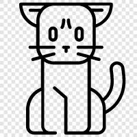 housecat, kitty, pet, feline icon svg