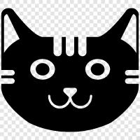 housecat, tabby, white, black icon svg