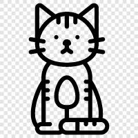 Housecat icon svg