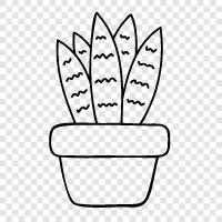 houseplant care, houseplant fertilizer, houseplant diseases, houseplant food icon svg