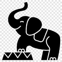 huge, trunk, tusks, forest icon svg