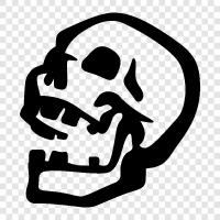 human brain, brain, skull, bones icon svg