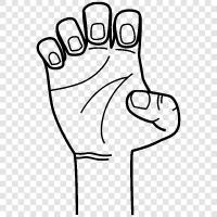 menschliche Hand, menschliche Hand mit Krallen, menschliche Handkralle symbol