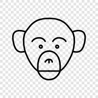 human, chimpanzee, gorilla, baboon icon svg