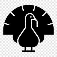 hunter, bird, turkey, hunting icon svg