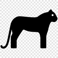 hunting, animal, big cat, big cats icon svg