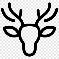 hunting, outdoors, animal, animal pictures icon svg