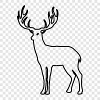 hunting, animal, farm, farming icon svg