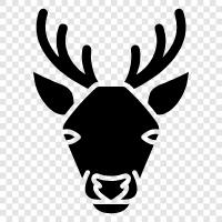 hunting, bucks, antelope, elk icon svg
