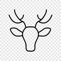 hunting, elk, buck, antler icon svg