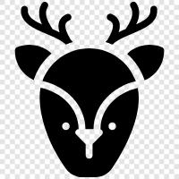 hunting, animals, wild, nature icon svg