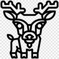 hunting, fishing, tracking, bucks icon svg