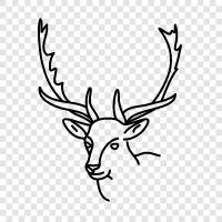 hunting, hunting season, deer hunting tips, hunting rifles icon svg