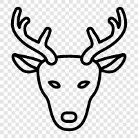 hunting, animal, animal behavior, animal husbandry icon svg