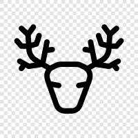 hunting, animal, animal behavior, hunting tips icon svg