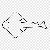 ichthyology, shark, teeth, anatomy ikon svg