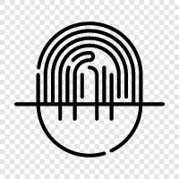 identification, security, biometric, Fingerprint icon svg