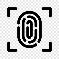 Identification, Security, Crime, Fingerprint icon svg