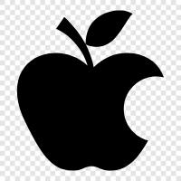 Inc., Apple icon svg