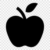 Inc., Apple products, iPhone, iPad icon svg