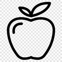 California, Apple icon svg