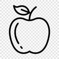 Inc., Apple icon svg