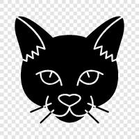 indian cat, bobcat, tuxedo cat, calico cat icon svg