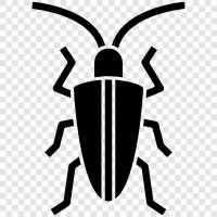 Insect, Flies, Bugs, Crawling icon svg