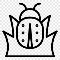 insect, fly, crawl, scuttle icon svg