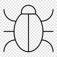 Insect, Fly, Bug Bite, Bug Infestation icon svg