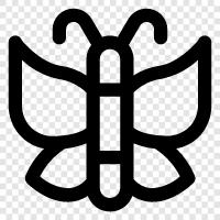 Insekt, flatternd, Monarch, Raupe symbol