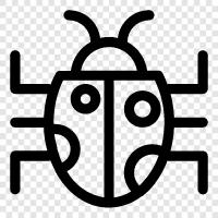 Insect, Flies, Buggy, Insects icon svg