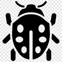 insect, bug zapper, bug spray, bug bite icon svg