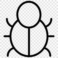 insect, fly, beetle, spider icon svg