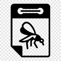 insect week, insect month, insect year, insect life icon svg