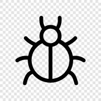 insects, pests, pests control, bed bug icon svg