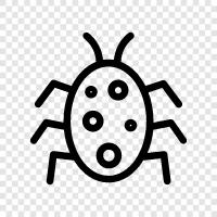 insects, bugs, creepy, creepy crawlies icon svg