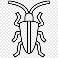 insects, bug spray, bug zapper, bug exterminator icon svg