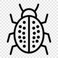 insects, creepy crawlies, animal, pests icon svg