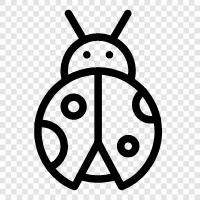 insects, pests, flying creatures, creepy crawlies icon svg