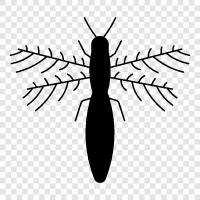 insects, pests, diseases, bite icon svg