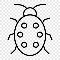 insects, bugs, beetle, cockroach icon svg