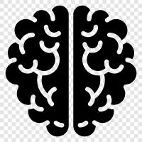 intelligence, cognitive functions, cognitive processes, intelligence quotient icon svg