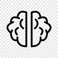 intelligence, intelligence quotient, cognitive function, memory icon svg