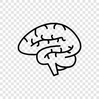 intelligence, neuron, atrophy, dementia icon svg