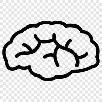 intelligence, thinking, mental, memory icon svg