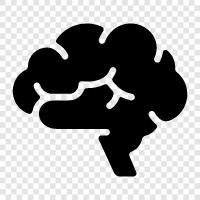 intelligence, cognitive function, neuron, neurotransmitter icon svg