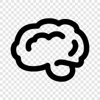 Intelligence, Cognitive function, Memory, Learning icon svg