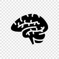 intelligence, memory, concentration, learning icon svg