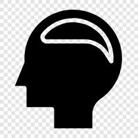 intelligence, intelligence quotient, memory, learning icon svg